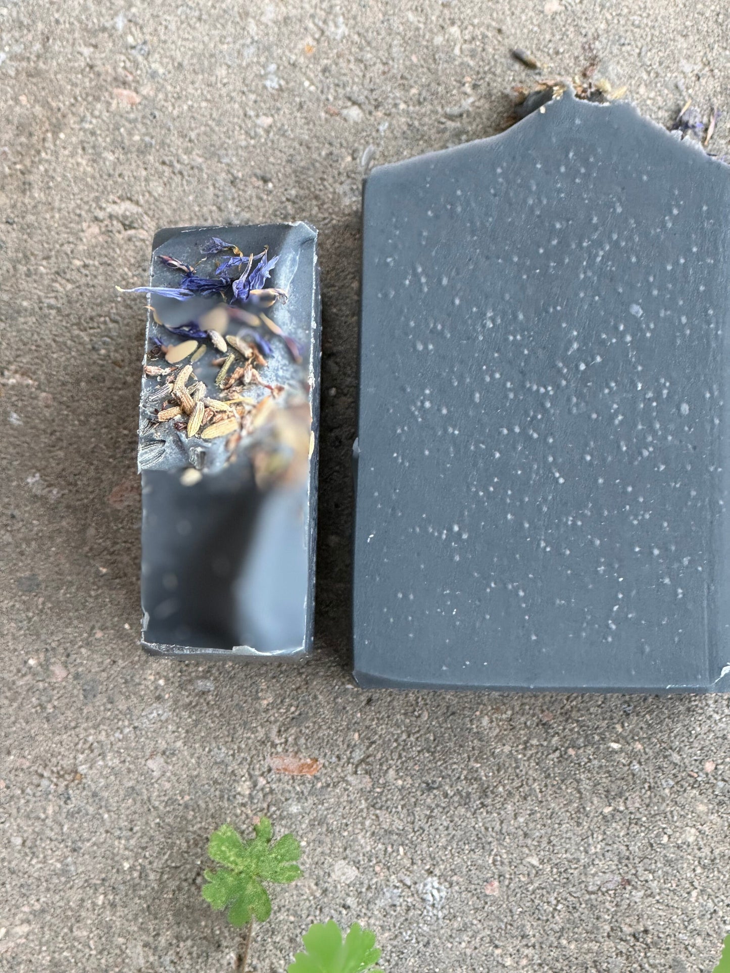Activated Charcoal Soap | Lavender Essential Oil | Tea Tree Essential Oil | Organic Blue Cornflower Petals | All Natural | Cold Process Soap