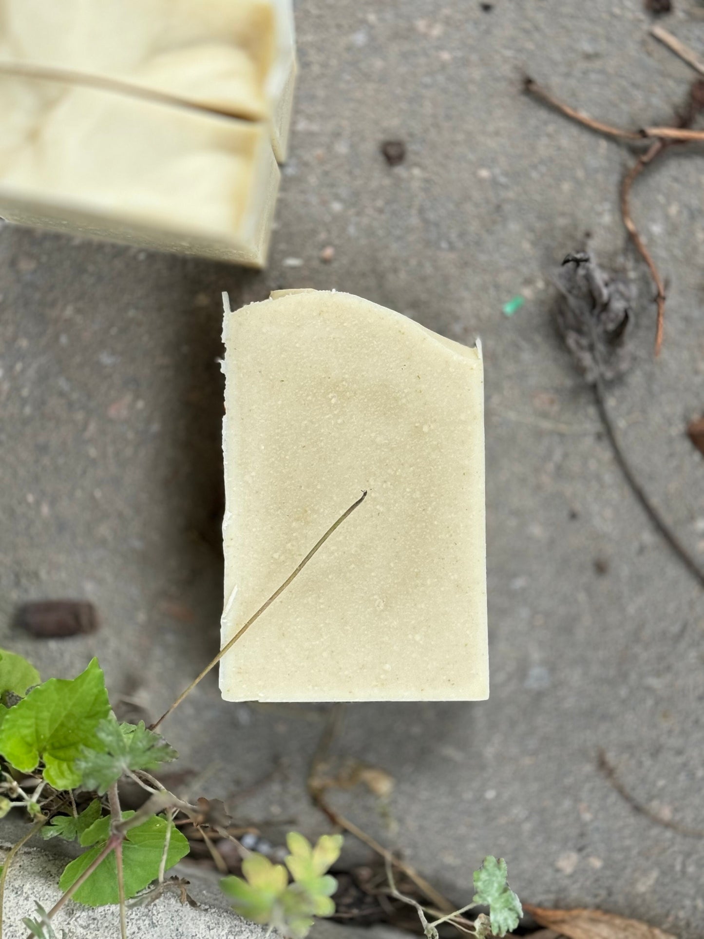 Plain Jane Bar Soap | Cold Process Soap | Colloidal Oatmeal Powder | Shea Butter | Hemp Seed Oil | All Natural Soap |