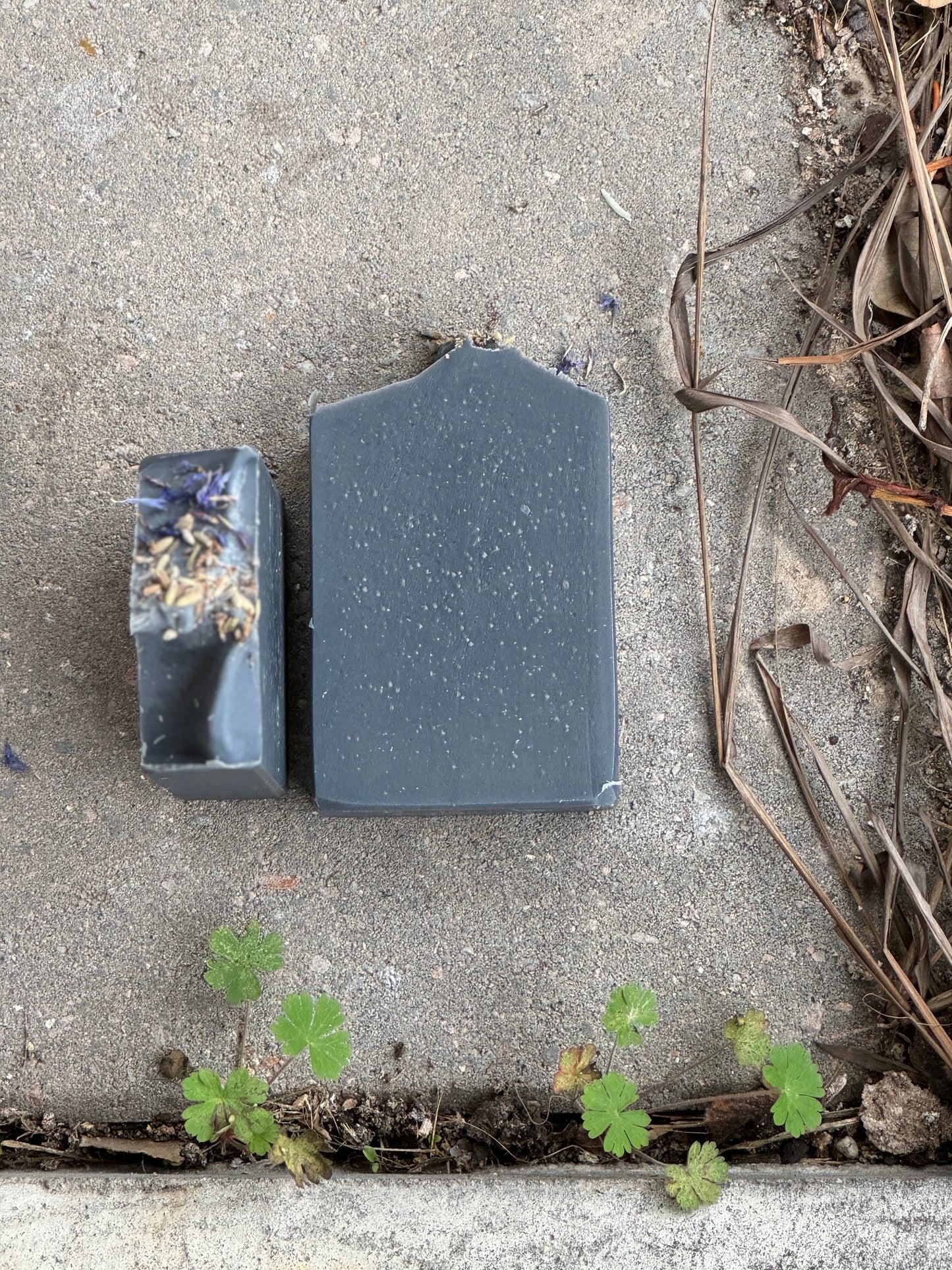 Activated Charcoal Soap | Lavender Essential Oil | Tea Tree Essential Oil | Organic Blue Cornflower Petals | All Natural | Cold Process Soap