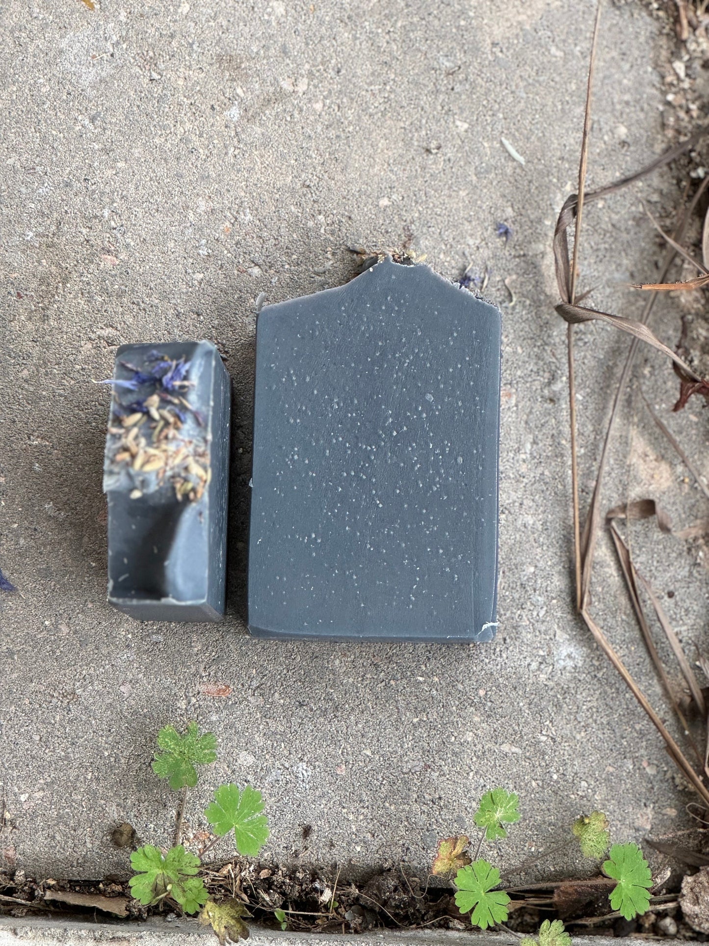 Activated Charcoal Soap | Lavender Essential Oil | Tea Tree Essential Oil | Organic Blue Cornflower Petals | All Natural | Cold Process Soap