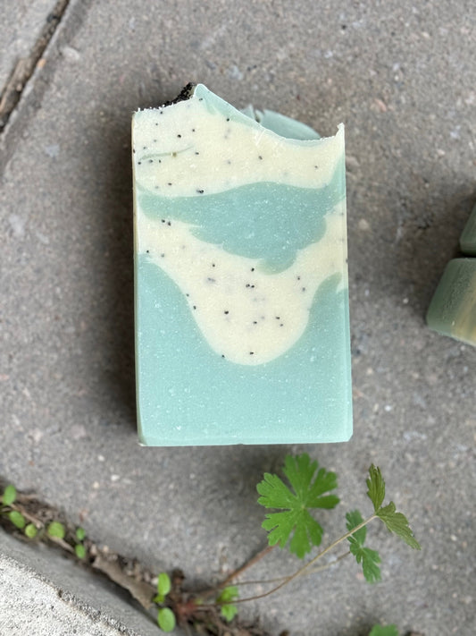 Winter Wonderland | Cold Process Soap  | Hemp Seed Oil | All Natural Soap | Poppy Seeds | Shea Butter