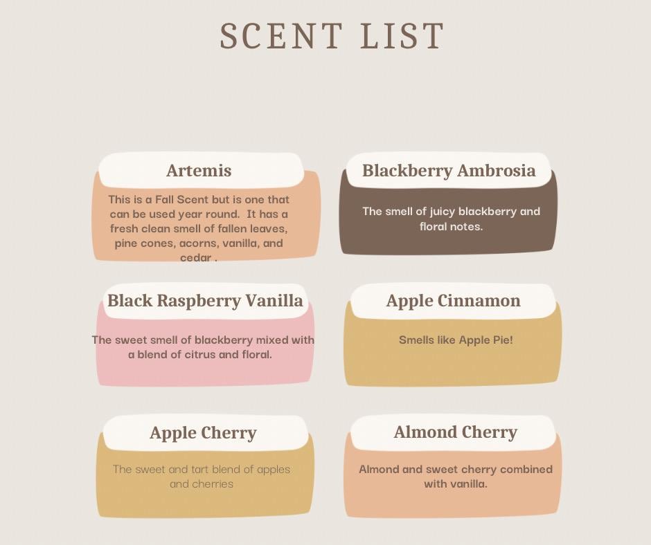 Stay Golden Car  Freshie   | Car Freshie | Car Freshy | Air Freshener | Gift | Gllitter | Golden | Girls | Television